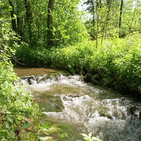 Nature Retreat In Waimes, Cleaning Included *